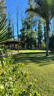 RIBERAS DEL RÍO - Oliveros - 9