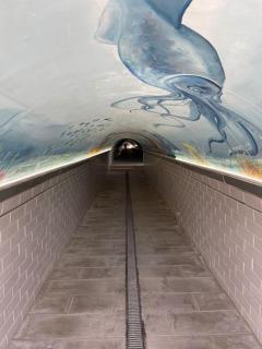 T2 lumineux Mer à pied Terrasse Piscine - 2