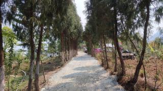 Malgudi Homestay - Kalimpong - 5