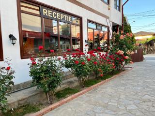 Casa Luca - Vama Veche - 8