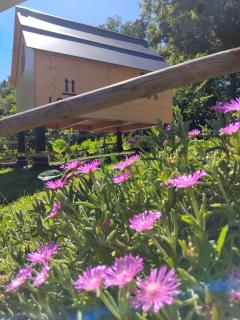 Starsbox Le Moline B&B - 2