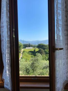 Casolare di Adele - Montecarlo - 0