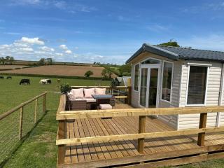 Paddock view - Pembrokeshire - 0