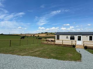 Paddock view - Pembrokeshire - 8