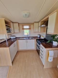 Paddock view - Pembrokeshire - 5