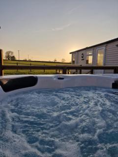 Paddock view - Pembrokeshire - 9