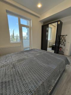 2 bedroom apartment in Tbilisi - 6