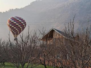 Skyview Cottages Manali - Manāli - 9