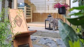 Al Nifontano B&B - Ideal for Family or Couples - 2 Rooms - Lakeview - Varese - 1