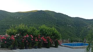 Green Garden - Ijevan - 6