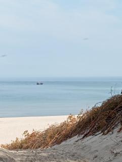 APARTAMENTY PIASKOWE BŁĘKITNA - 5