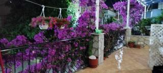 Elena Apartament - Saranda - 3