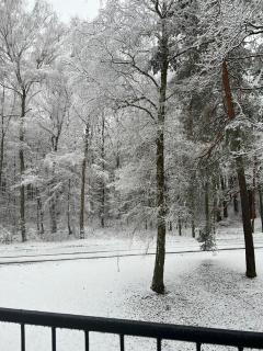 Apartament pod ŚWIERKIEM - 1