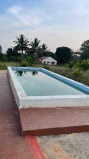 Shah farms - Talai - 7