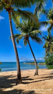 Ti Paradise Là - Saint-François - 7