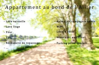 Bleu rivage F3 bord de l'Allier - parking gratuit - 2 étoiles - Vichy - 9