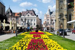 Cosy Novi Sad Loft city center - 6