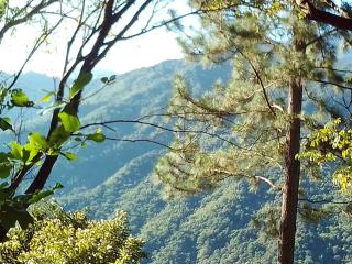 Blue Mountain Wilderness Retreat Jamaica House - 6