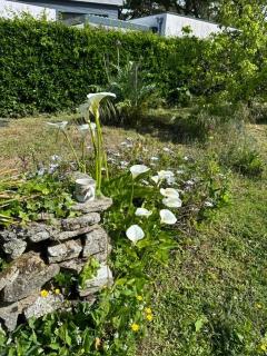Maison vintage en bord de mer - 7