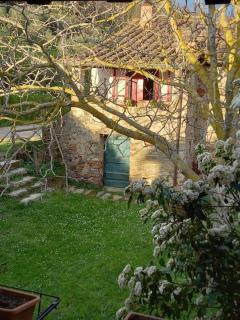 Il Rustico Vicopisano - Vicopisano - 4
