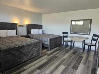 Motel 81 - - 0