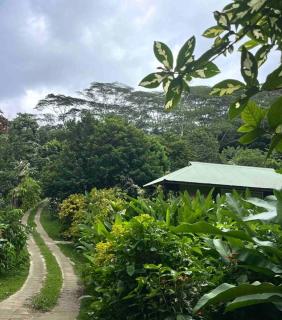 Tahitian Pirates House - Moorea - 5