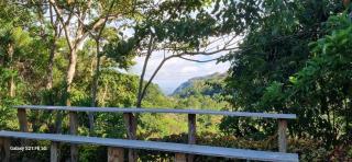 Oak's - Rivas - 5