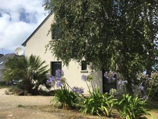 Appartement avec terrasse, WIFI à 100m de la plage à Trébeurden - FR-1-368-424 - 1
