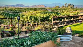 Rusty Fork Ranch Bed & Coffee - Temecula - 1