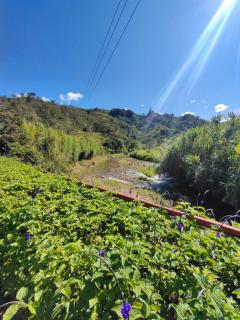 Finca Curva de Paraíso - Alejandría - 1