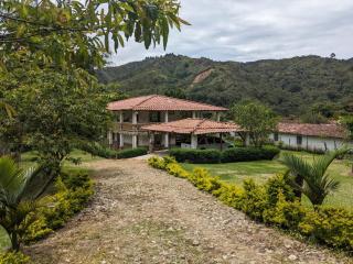 Finca Curva de Paraíso - Alejandría - 9
