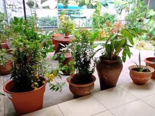 Hospedaje Casa Amazónica Iquitos - Iquitos - 6