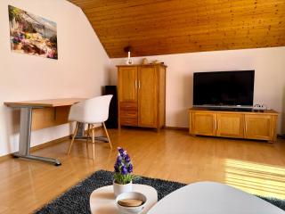 Business-Apartment Braun - Abstatt - 2
