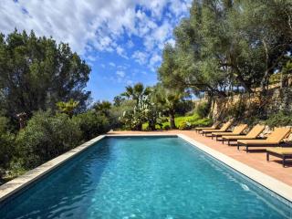 Beautiful holiday home with pool - Santa Maria del Camí - 1