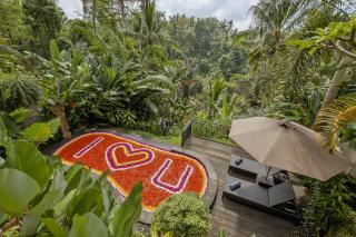 Mandana Ubud Villa - Ubud - 7