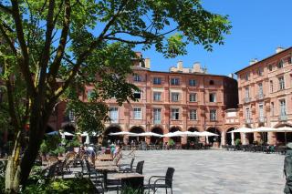 Chambre Canal Midi Piscine - Montauban - 8