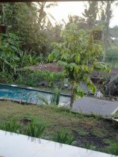 Lasan mas - Ubud - 9