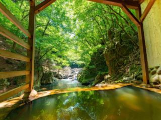 Tabist Shiobaraonsen Kashiwaya Ryokan - Nasushiobara - 0