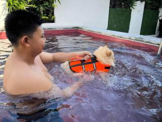 Little3 Hua-Hin Private poolvilla from beach 3km , dog can enjoy swimming pool - Hua Hin - 4