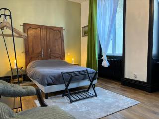Maison à la Guitarde - Hôtel Particulier Hippolyte - Châteauroux - 1