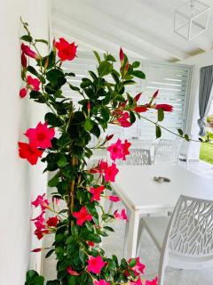 InVilla Bed&Breakfast - Quality Rooms - Santa Maria di Castellabate - 8