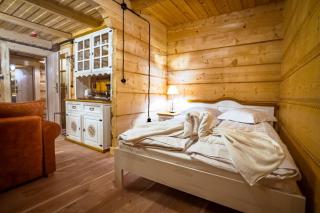 Salamandra 11 Apartamenty Góralskie w Kościelisku - 8