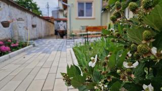 Rose Gardens - Vršac - 8