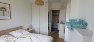 Appartement T2 Pietranera WIFI - Palagaccio - 3