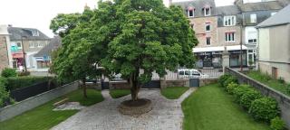 Le beau séjour - Pontorson - 6