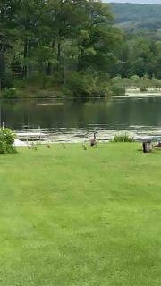 Serenity on Lamoka - 1