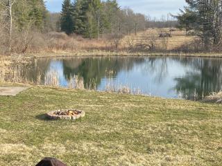 The Cabin - Hammondsport - 3