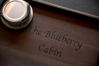 Blueberry Cabin - Hammondsport - 8