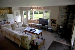 Blueberry Cabin - Hammondsport - 3