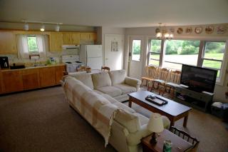 Blueberry Cabin - Hammondsport - 2